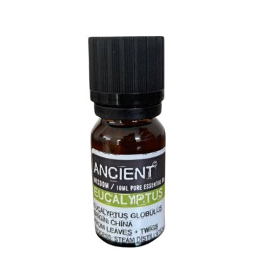 Eukalyptus - esenciální olej 10 ml